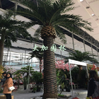 Palma artificiale della grande pianta all'aperto antidissolvenza Anti-uv all'ingrosso della decorazione della piscina