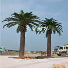Grandi alberi di plastica artificiali della palma da datteri dell'albero alto all'aperto sempreverde economico della palma da datteri per il giardino