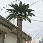 Grande palma decorativa all'aperto Canada/palma da datteri di plastica/palme artificiali