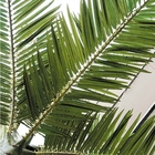 Abbellimento di plastica all'aperto del giardino della palma della vetroresina 7m