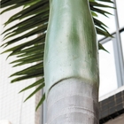 Abbellimento di plastica all'aperto del giardino della palma della vetroresina 7m