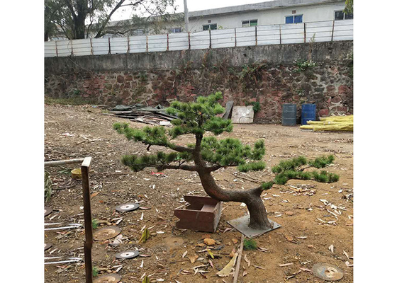 Evergreen Small Fake Pine Trees For Amusement Park