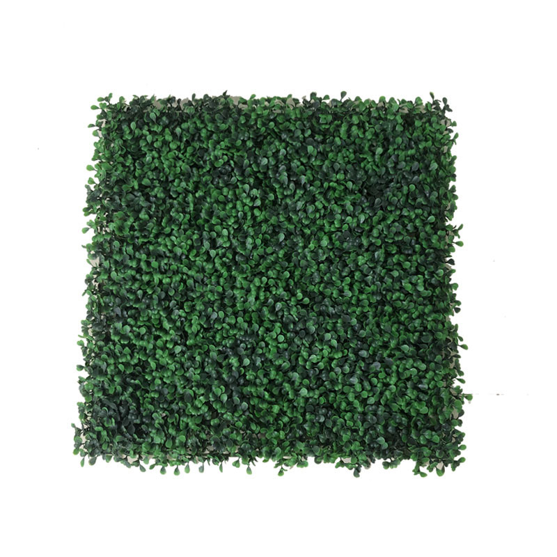 Parete e tappeto erboso artificiali resistenti uv della pianta di Milan Boxwood Backdrop Decoration